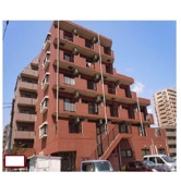 Ｍｏｌｌｅ相模大野　（２０５号室）