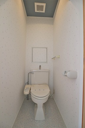 天井は汚れが目立ちにくいクロスを使用